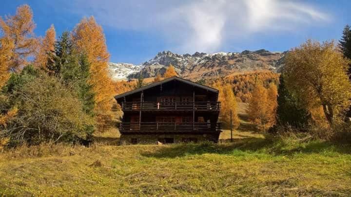 Chalet Singlinaz Leilighet Zinal Eksteriør bilde