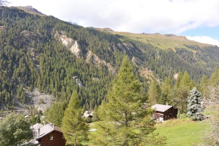 Chalet Singlinaz Leilighet Zinal Eksteriør bilde